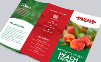 Tri-Fold Brochure Design